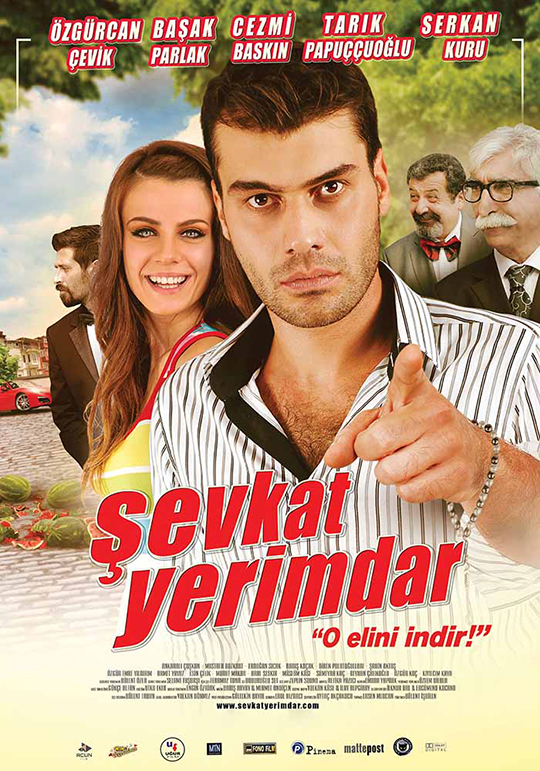 ŞEVKAT YERİMDAR