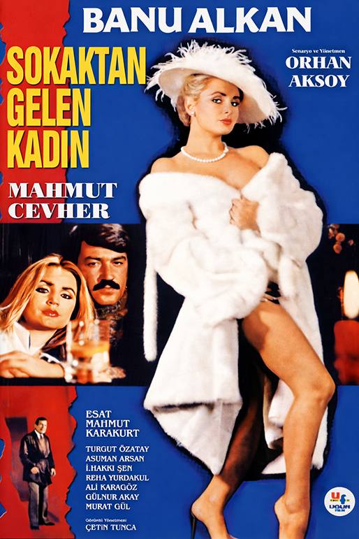 SOKAKTAN GELEN KADIN